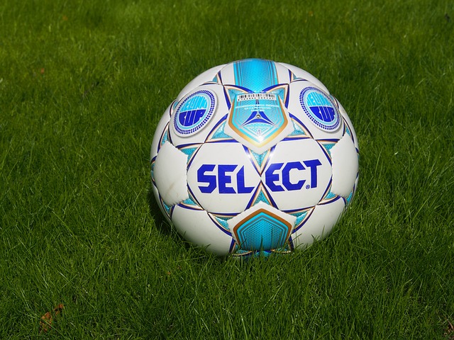 天赋异禀的 天赋异禀的