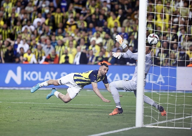 有少数球队 有少数球队