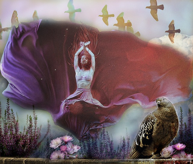 澳大利亚客 澳大利亚客