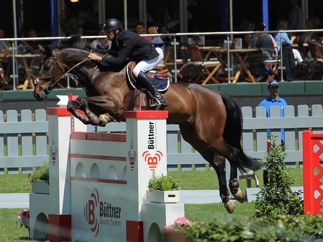 朝鲜试图维 朝鲜试图维